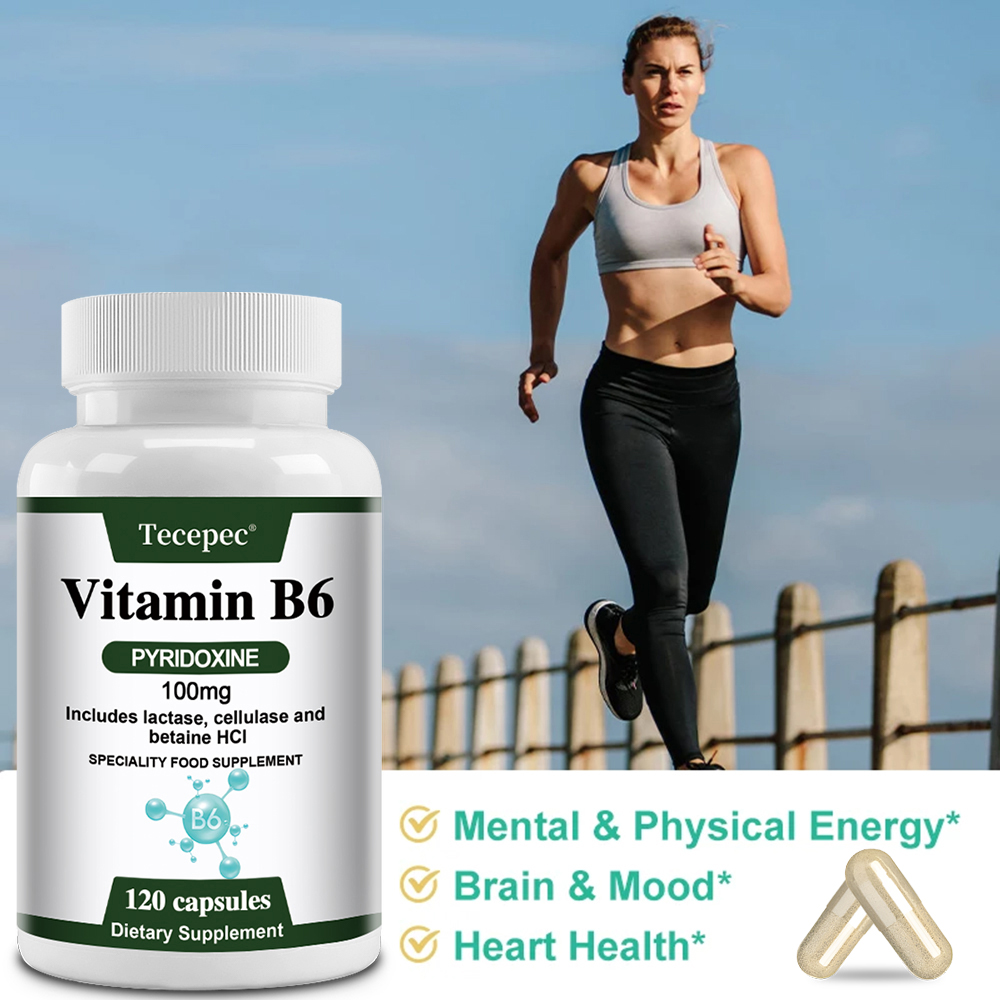 Vitamin B6 Capsules, Essential - Hair Care Capsule ulasan dan harga